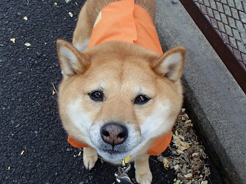 resize7508.jpg
