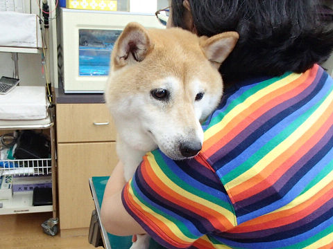 resize7690.jpg