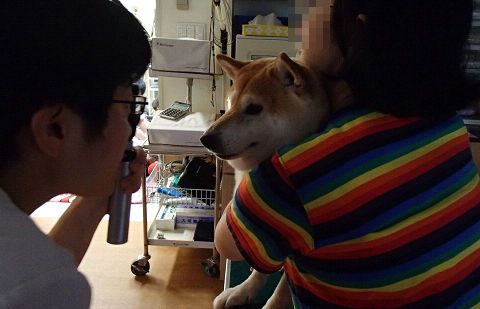 resize7691.jpg